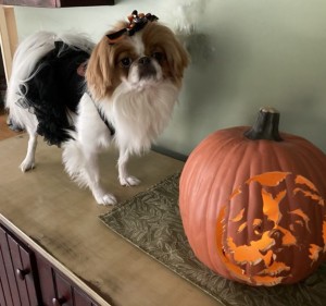 Abby Mae and her Pumpkin
