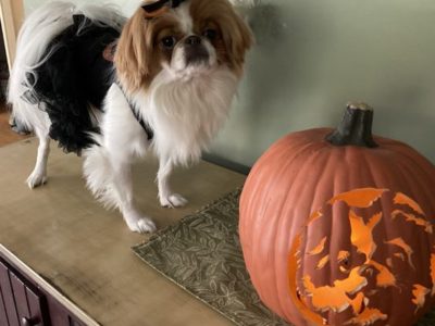 Abby Mae and her Pumpkin