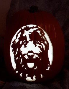 goldendoodle carve