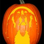 Cavalier King Charles