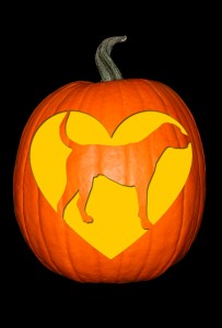 Love My Foxhound Pumpkin