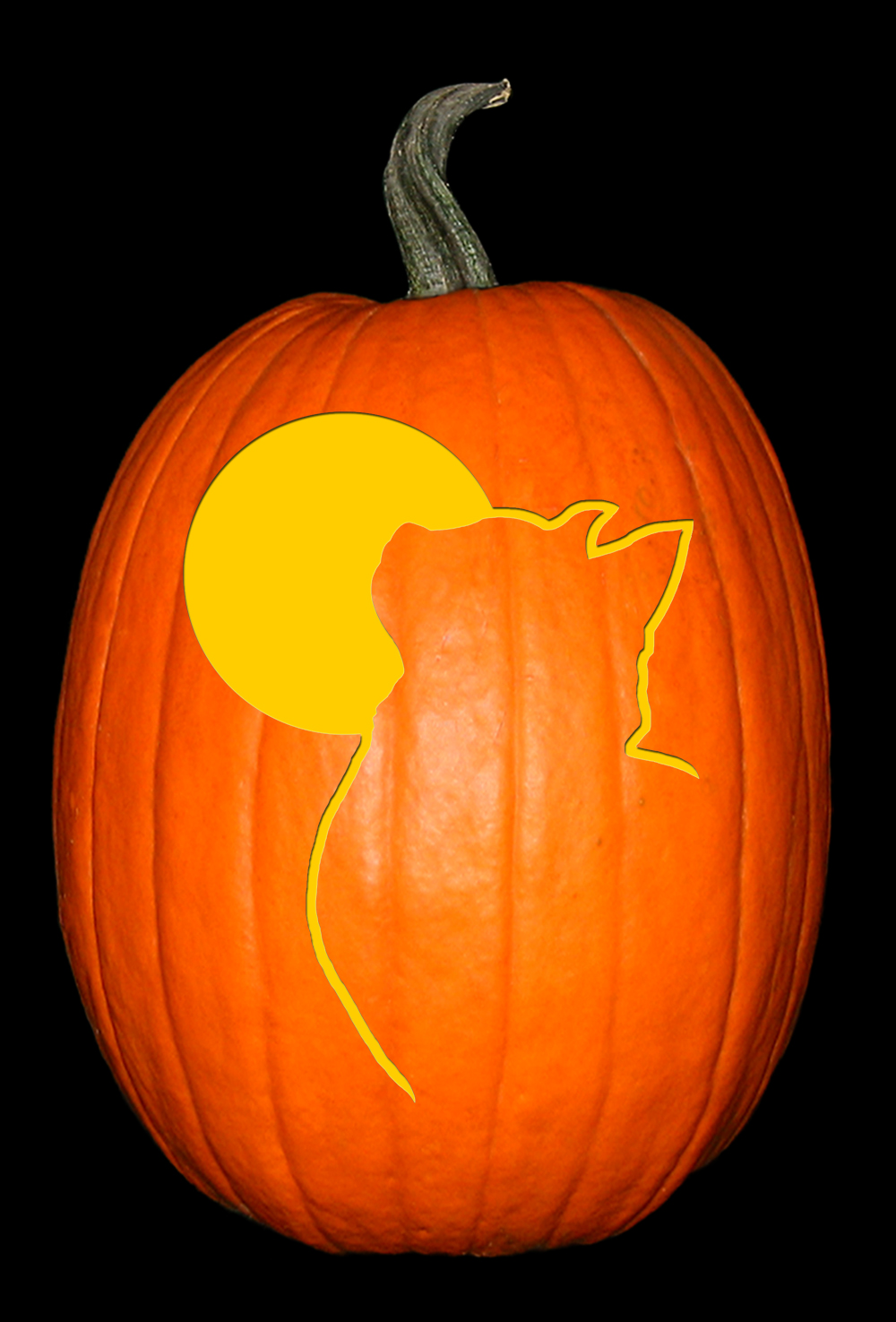 Cat Moon The Custom Punkin Stencil Company