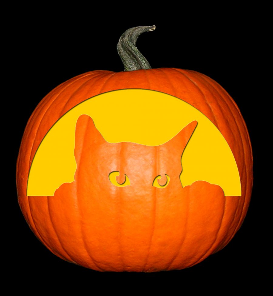 easy cat stencil pumpkin pdf