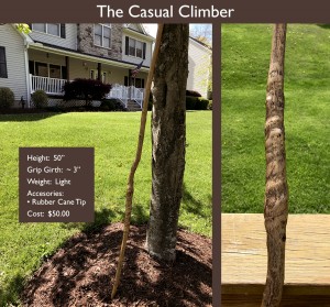 The Casual Climber