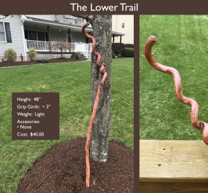 The Lower Trail