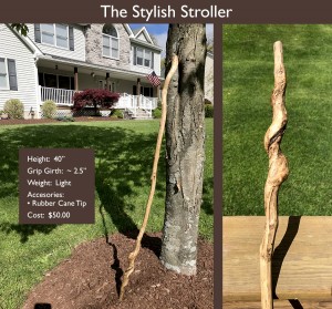 The Stylish Stroller
