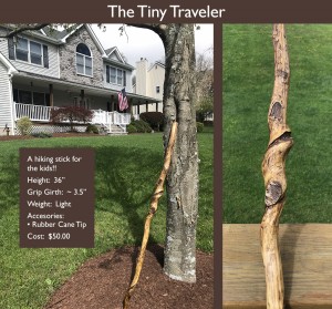 The Tiny Traveler